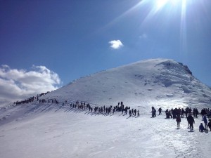 Janusz Borek Grupa Bieszczady